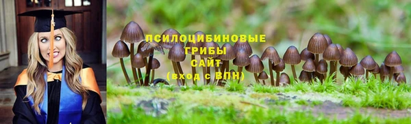 соль курить ск Дмитриев