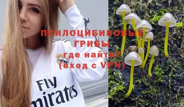 мяу мяу кристалл Дмитров